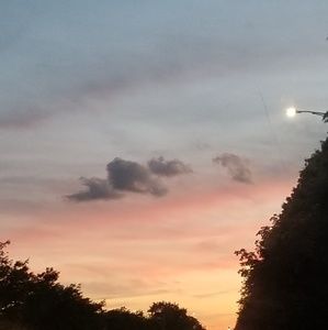 Meet your Posher, Cecilia